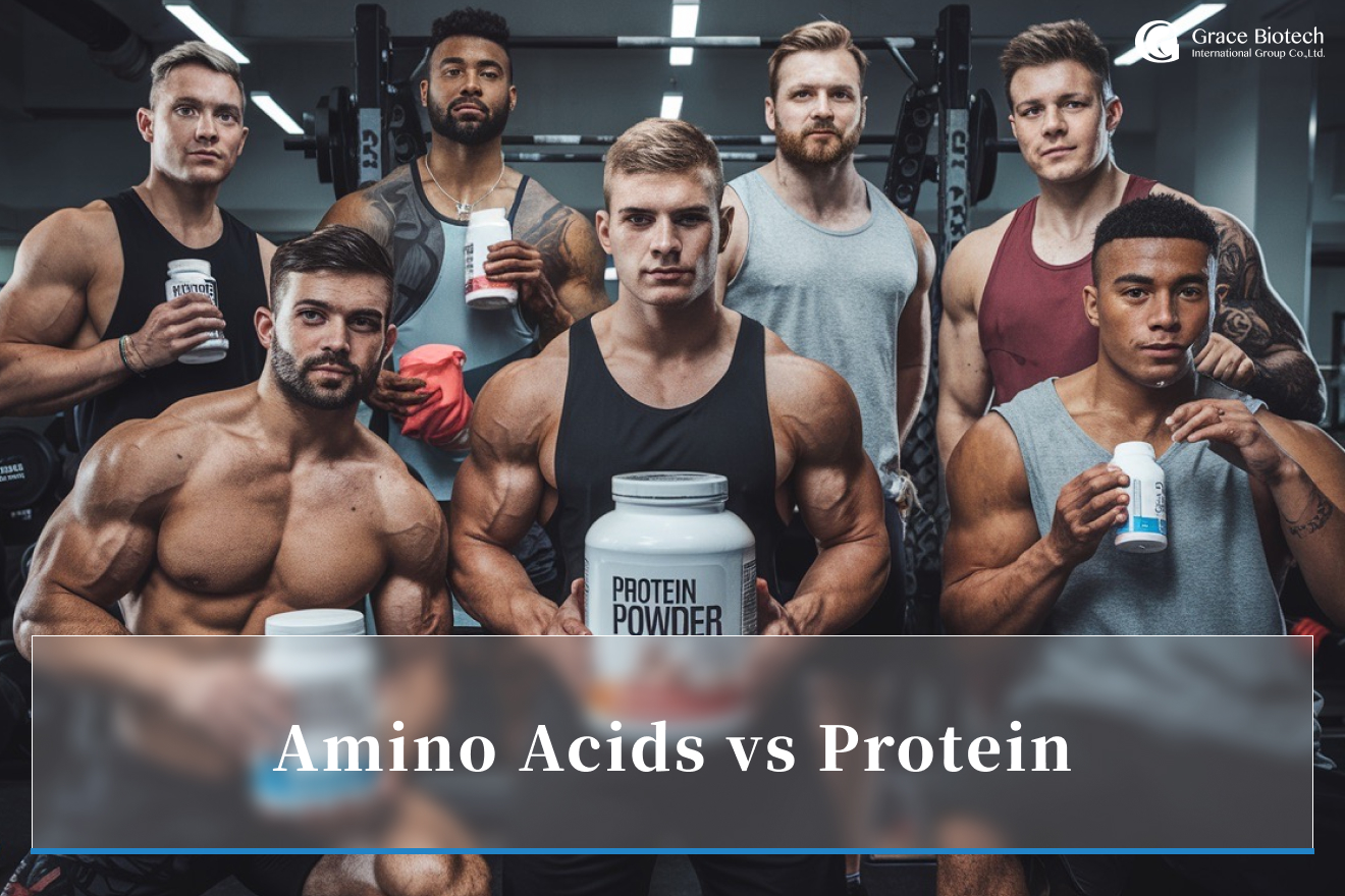 Grace Biotech - amino acids vs protein